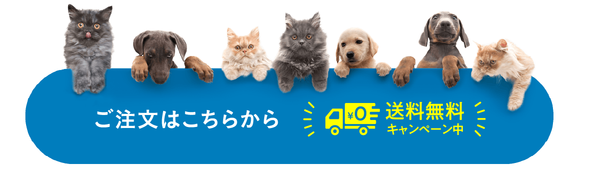 ご注文はこちらから